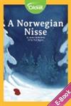 A Norwegian Nisse